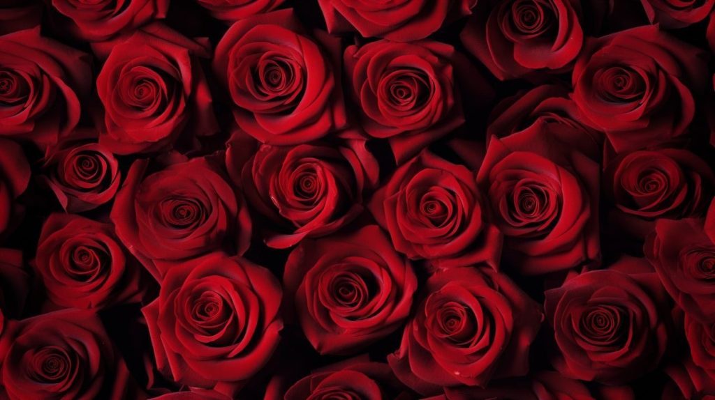 14 Şubat: Sevgililer Günü Değil, Prime&nbsp;Dönemimiz!